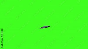 3D River dolphin Swim animation, Green screen, Aquatic animal, Dolphin animation, Dolphin chroma, single dolphin swimming, ocean, Sea, river, 2 Dolphins, Dolphins in sea