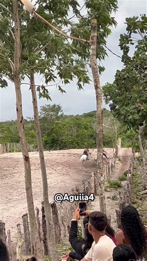 só meme da galera ksksksksks#memevaquejada #fyyyyy #viral #cirte