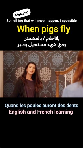 When pigs fly... | English and French Learning