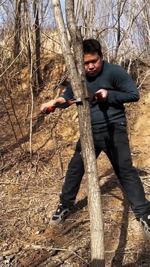 Best Lopper for Cutting Large Tree Limbs