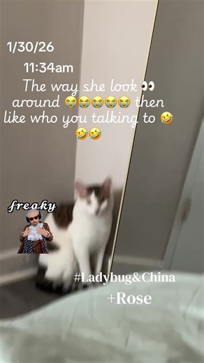 Yup it’s rules 😭😭😭😭🤣🤣 #fypage #US #catmom #2026 #freak 🥰✍🏽🫶🏾😻🤗