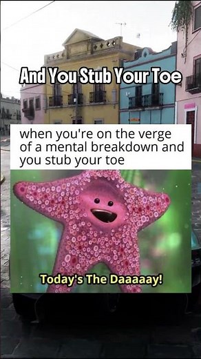 GRUMPY memes are making a comeback… #memes #grumpy #funny #viral #fyp