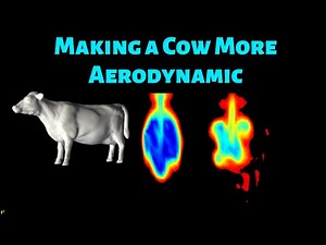 Aerodynamics Challenge! Can you make a cow more aerodynamic?
