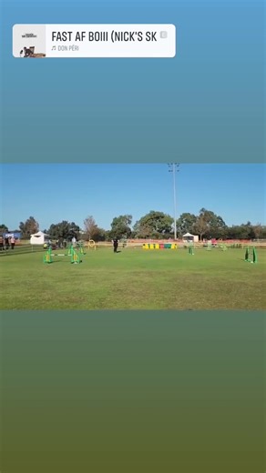 KARUMBA 2023 DuraEdge Australian stumpy tail cattle dogs | DuraEdge Australian stumpy tail cattle dogs | Facebook