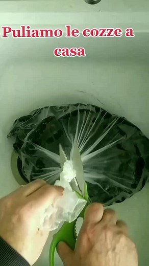 Preparing Fresh Mussels in the Kitchen