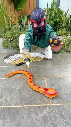 Remote Control Snake and Flying eagle unboxing