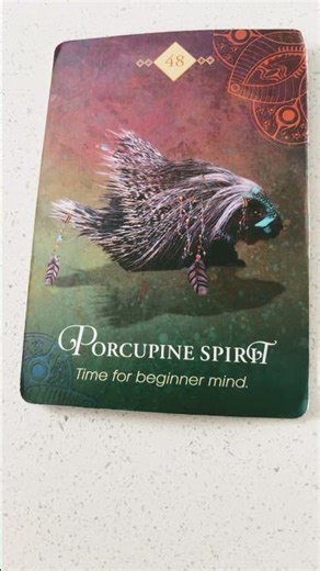 #824 Aquarius - Spirit Animal Oracle Message