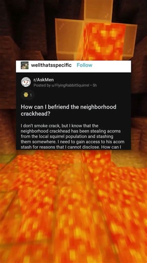 Stolen Acorns 🐿️