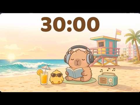 ☀️ 30 Minute Timer 🌊 🐻 Half Hour Study Timer for Classroom Focus Lofi sound