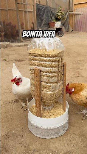 Comedero para aves muy fácil de hacer.