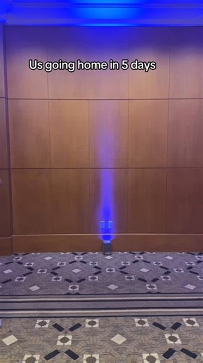 Even Frank the tank made this one… #DWTS | Emma Slater