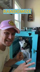 Here are some tips to get ANY dog to LOVE the crate! In addition to the tips above, make sure to leave the crate door open to allow the dog to go in/out as they please! 🚪🐶 Upstate Canine Academy | Impact Dog Crates