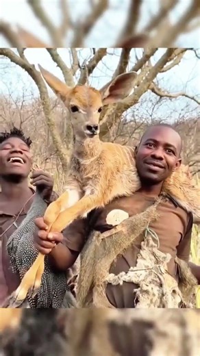 primitive hunting and survival cooking in the wild.#hunting #cooking #wildlife #firecooking