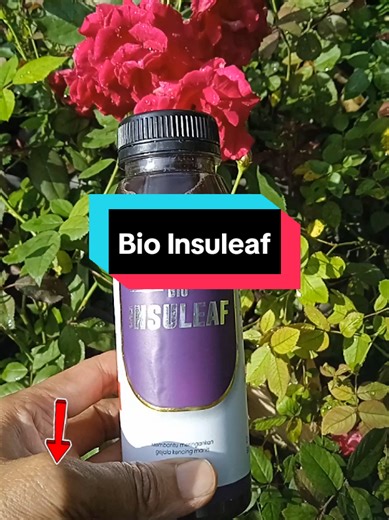 Bio Insuleaf: Herbal Solution for Energy and Wellness