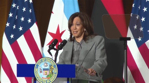 'We won't give them that satisfaction': Kamala Harris takes a stand, vows to continue fighting against the Trump administration