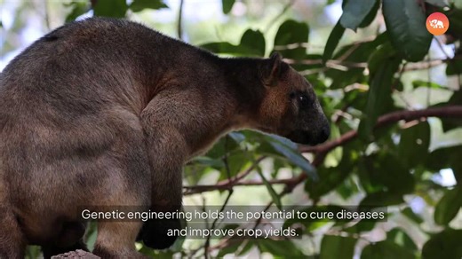 De-Extinction: Bringing Back the Dead – A Good Idea?