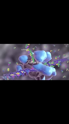 Fall in Love: The Science of Biology and Microbiology