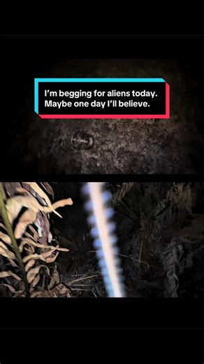 Today is February 27, 2026 Port St. Lucie Florida. I am collecting my alien specimens I do this every night so far I have at least 40 separate species of alien life. I am documenting new ones every day since nobody else believes I do. Welcome to the Earth guys. It’s an honor. Now can I go in my spacecraft? #alien insects.#aliens#alien documentary#alien biology#alien sample