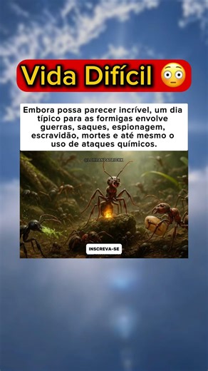 O Mundo Secreto das Formigas é Mais Brutal que Você Imagina