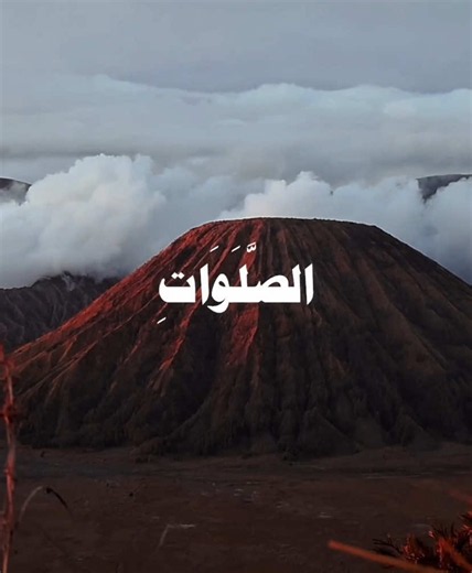 حافظوا على الصلوات والصلاة الوسطى | سورة البقرة | القارئ علي جابر