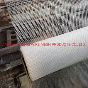 [Hot Item] HDPE Flat Net/Plastic Extruded Mesh for Railway Roadbed Reinforcement