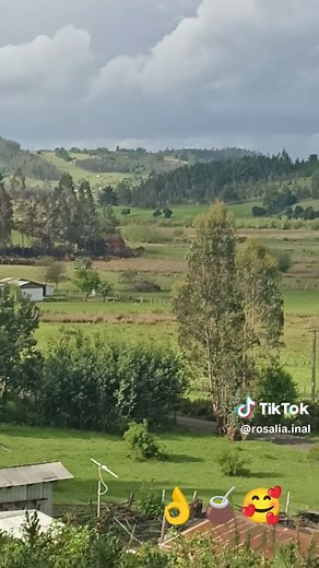 Serene Rural Landscape: A Panoramic Nature View