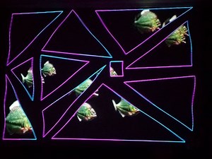 CGI Animals with Projection Mapping Compilation