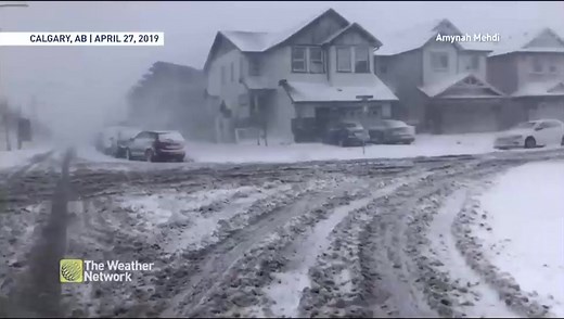 Much of Alberta hit with spring snow storm