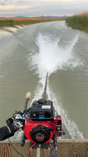 Predator 212 on a Tracker 1236 #mudmotor #mudskipper