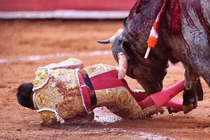 Bull gores 11-inch horn up matador’s butt