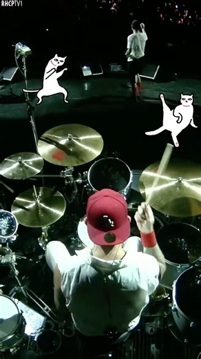 Best Funky Intro in Music History? #Shorts #RedHotChiliPeppers