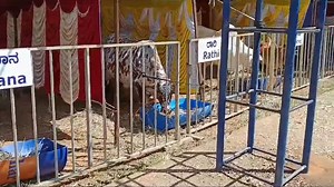 Animal Husbandry & Animal Welfare Month 2025, observed from January...