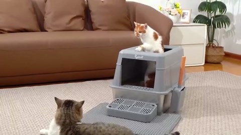 Rywell Stainless Steel Litter Box with Lid, XL Stainless Steel Litter Box with Litter Scoop, Filter Pedal and Litter Mat, Suitable for Multiple Cats, Anti-Leakage, Non-Stick, Easy to Clean