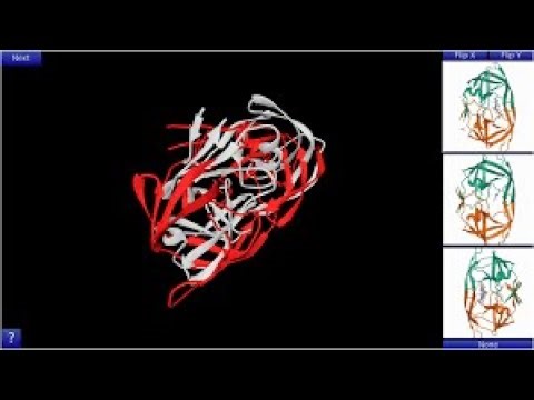 Day 03 Protein visualization