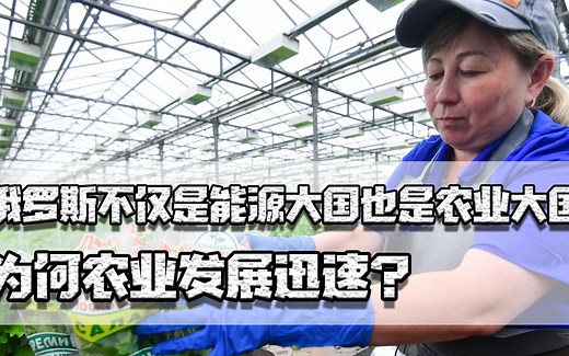 不惧制裁，俄罗斯不仅是能源大国更是农业大国，为何农业发展迅速