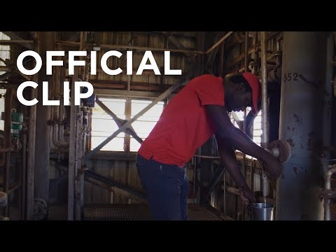 Wild Yeast Gives Rum a Local Flavour at Mount Gay