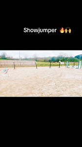 Dallas vdl(Douglas x heartbreaker)x Berlin x Darco(2019)mare 🔥 Full vid tomorrow when we finish uploading 👍👍 | Bosanko Sport Horses