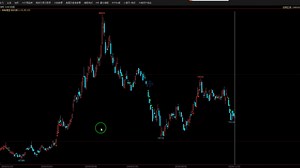 加载全部品种进行分析回测_哔哩哔哩_bilibili