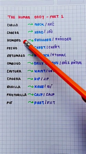 Partes del Cuerpo Humano en Inglés #inglesfacil #ingles #inglesencasa #clases