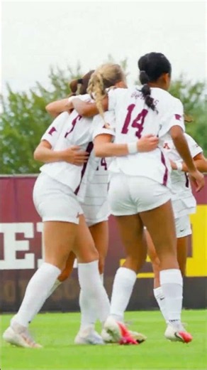 Ellen Neuharth Goal | Minnesota Soccer vs. Northwestern