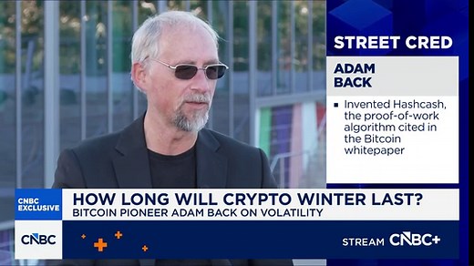 Blockstream CEO Adam Back on Bitcoin's downturn