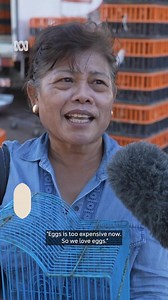 Almost 2,000 chickens have crossed the road — or, in this case, the border — as Australia scrambles to meet the demand for eggs. Dozens of NT families have lined up to start their own backyard chook farms and ensure eggs will never be in short supply. The chickens, trucked from the south all the way up to Darwin, are the same breed used in egg farms and can lay 300 a year. South Australian farmer Darren Letton said the chooks are about 16 weeks of age, and were kept comfortable on the road in th