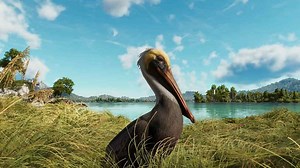 Far Cry 6: comment faire pour nourrir les pélicans dans le jeu vidéo ?