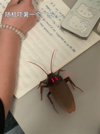 Perfect for selling swords, haha #Try something very new #Remote control model #Abstract art