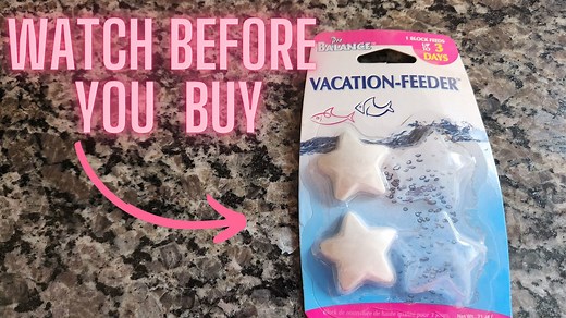 Watch Hand on review of Penn-Plax Pro Balance Vacation Fish Feeder on Amazon Live