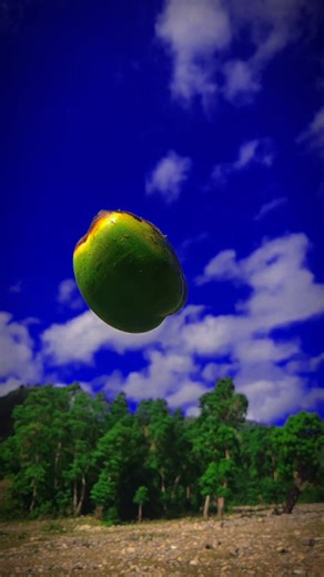L'art de l'observation : Nature et Photographie