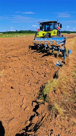 Corn Journey 2025 – From Seed to Harvest 🌾🔥#corn #fyp #farmlife | CroAgroView