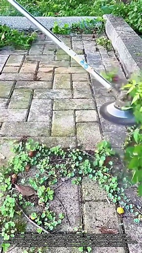 Satisfying Way to Blow Away Weeds Stuck Between Pavers #worker #process #weedcutter #satisfying