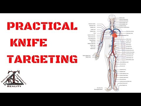 Knife Fighting: Practical Targeting