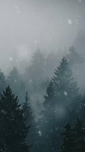Snowfall in Forest Mobile Animated Wallpaper 🔥✨ #wallpaper #4k #livewallpaper
